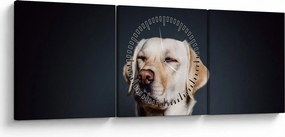 Labrador képe (órával) (90x30 cm)