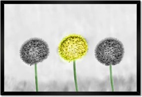 Poszter keretben 60x40 Sárga pitypang