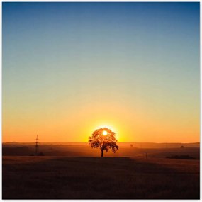 Poszterek 140x140 Kilátás Tájkép