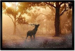Poszterek keretben 60x40 Szarvas az erdőben