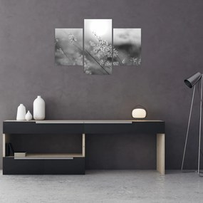 Kép - Őszi rét (90x60 cm)