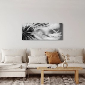 Kép - Makró, fekete-fehér (120x50 cm)