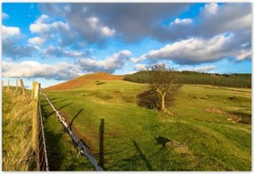 Poszterek 200x135 Tájkép réttel