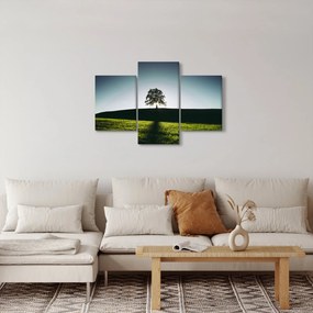 Természet kép - fa (90x60 cm)