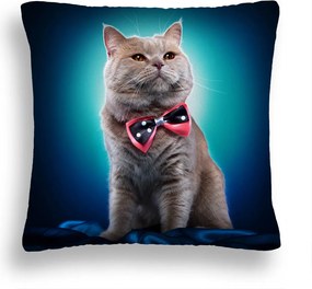 Macska Párna 39 Csokornyakkendő Türkiz Arisztokrata Boglárka