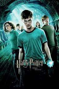 Művészi plakát Harry Potter - a Főnix Rendje