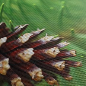 Fenyőtoboz képe (120x50 cm)
