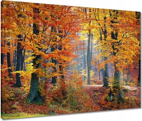 Vászonkép 80x60 Arany ősz