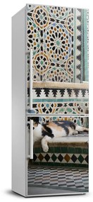 Matrica hűtőre Cat marokkóban FridgeStick-70x190-f-56384997