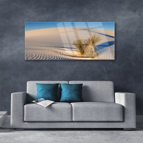 Üvegfotó Fekvő sivatagi homok 120x60cm