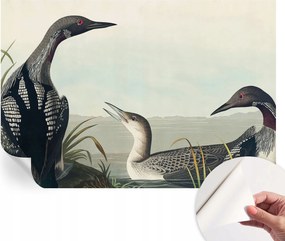 Öntapadós tapéta Divatos 3D fali ragasztó Madarak a vízparton 152x104 cm