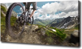 Vászonkép Hegyi kerékpározás 100x70 cm