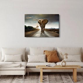 Elefánt képe (90x60 cm)