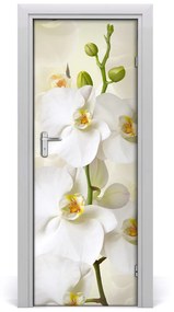 Ajtó tapéta fehér orchidea 95x205 cm