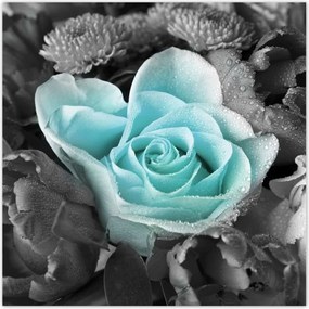 Poszterek 100x100 Türkiz rózsa