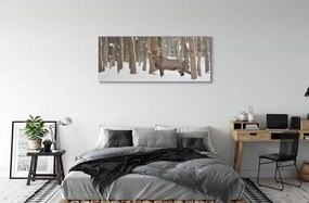 Üvegképek Deer téli erdőben 125x50 cm