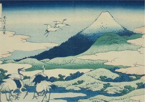 Flizelin tapéta Divatos 3D fali ragasztó Daruk és hegyek 208x146 Ragasztó