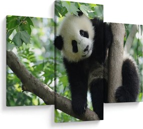 Kép - Panda a fán (90x60 cm)