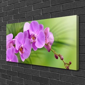 Vászonkép Orchidea Orchidea Virág 125x50 cm