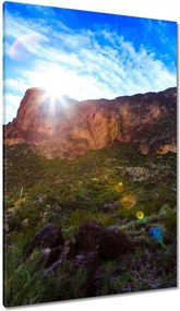 Vászonkép 80x120 Tájkép kaktuszokkal