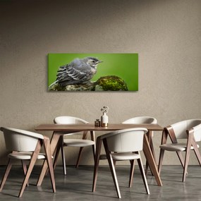 Kép - Légykapó (120x50 cm)