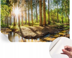 Öntapadós Dekoratív Fotótapéta Hálószobába Erdei idill 416x254 cm