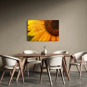 Kép - Napraforgók (90x60 cm)