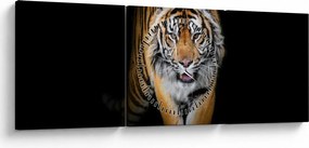 Kép - Tigris (órával) (90x30 cm)