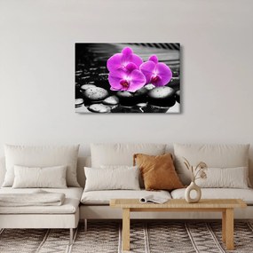 Kép - Lila orchideák (90x60 cm)