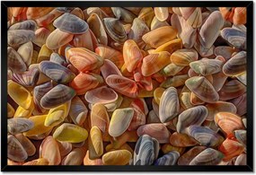 Poszterek keretben 60x40 Színes kagylók nyomtatás