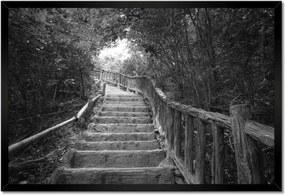 Poszterek keretben 60x40 Lépcsők a trópusokon