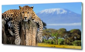 Üvegkép Leopard egy fatönkön osh-66888484