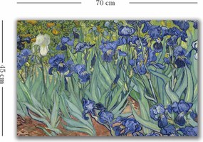 4570VANGOGH035 Van Gogh vászonkép, 45 x 70 cm