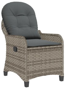 Fotel párnával Szürke Poly Rattan