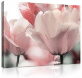 Vászonkép, Rózsaszín tulipánok 80x60 cm méretben