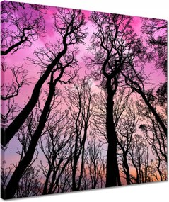 Våszonkép 40x40 Tåjkép Låtvåny