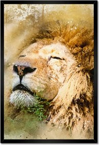 Poszterek keretben 40x60 Oroszlán