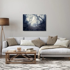 Kép - Erdő a ködben (üvegen) (70x50 cm)