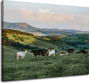 Vászonkép Természet Legelő Hegyek Juhok 100x80