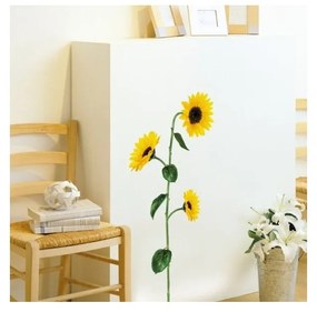 Sun Flowers falmatrica - Ambiance