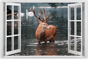 Poszterek 90x60 Szarvas felszarvazott