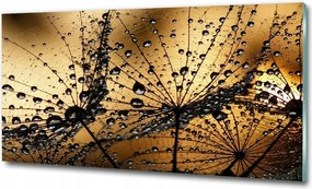 Fotó kép edzett üveg Cseppek a rózsán 100x70