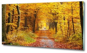 Üvegfotó Erdő ősszel osh-86844242