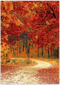 Poszterek 70x100 Tájkép