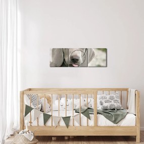 Kép - weimaraner kölyökkutya (órával) (90x30 cm)