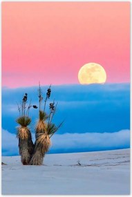 Poszterek 60x90 Kilátás Tájkép