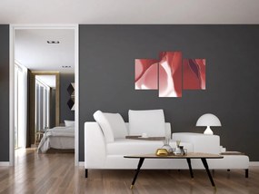 Kép - Piros absztrakt virág N⁰3 (90x60 cm)