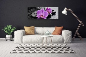 Vászonkép Orchidea virágok orchidea Spa 125x50 cm