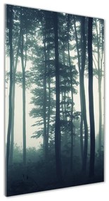 Üvegfotó Köd az erdőben osv-106280644