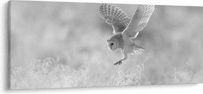 Kép - Bagoly a mezőn (120x50 cm)